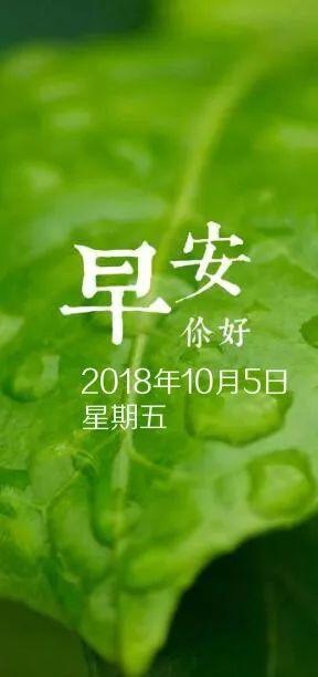 2018流行励志名言