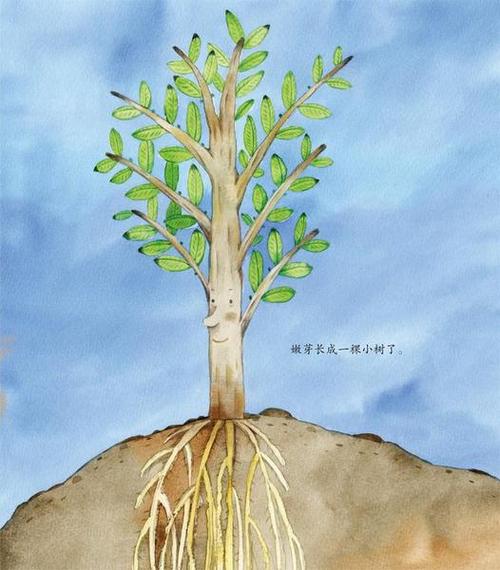 成为一棵长成的树