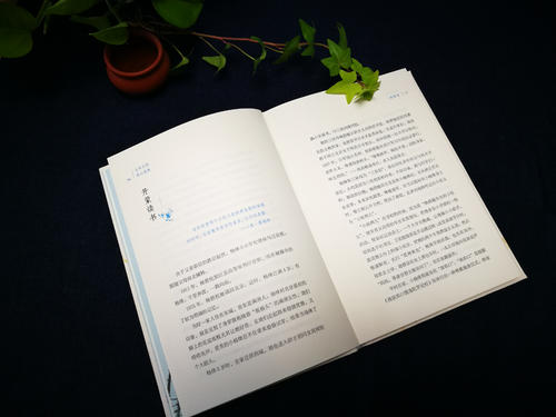 读书笔记《杨江传》：一个划时代的知识分子女人
