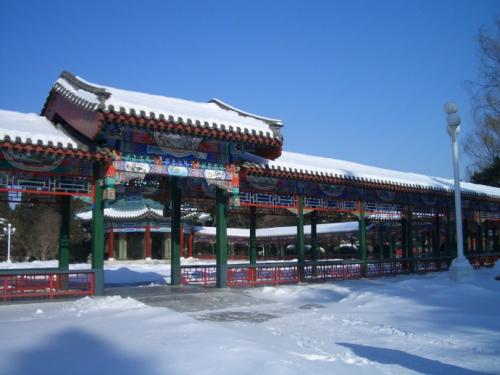王义柱：北京的冬天