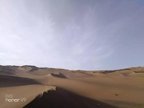 沙漠沙全诗如雪