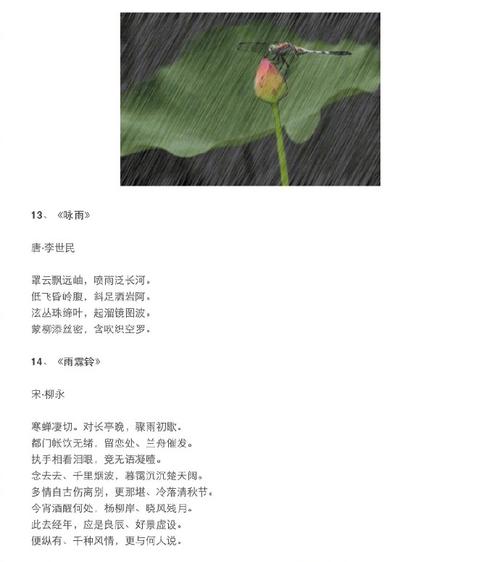 描述雨的章节