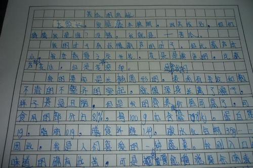 中文写作好句子