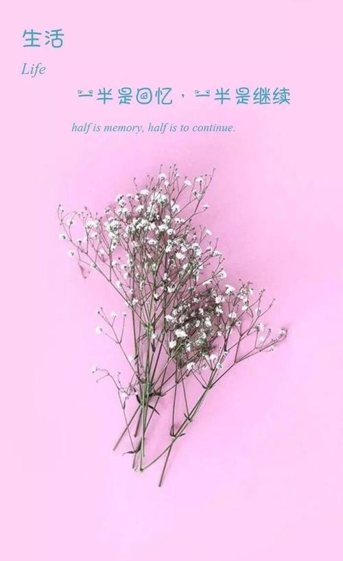 漂亮的一句话：一半的生命是记忆，一半是延续