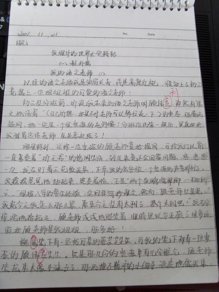 我的中文老师600字