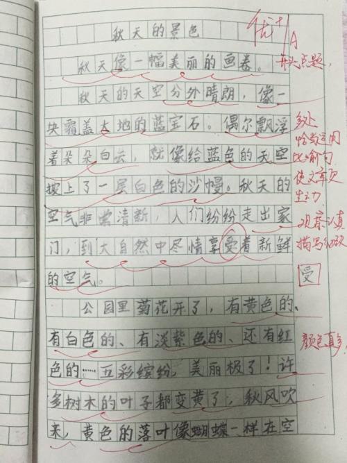 秋季作文300字