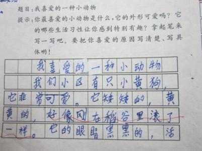 关于动物的组成