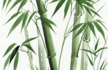 关于竹精神的组成