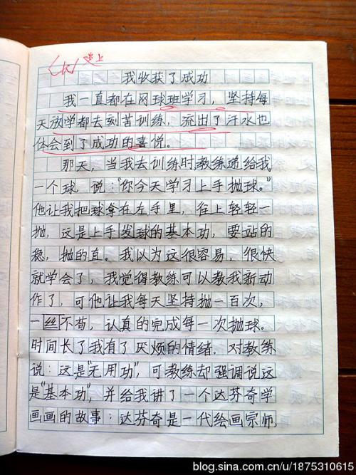 小学作文，这是我