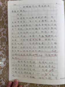 向远方的学生写一篇400字的文章