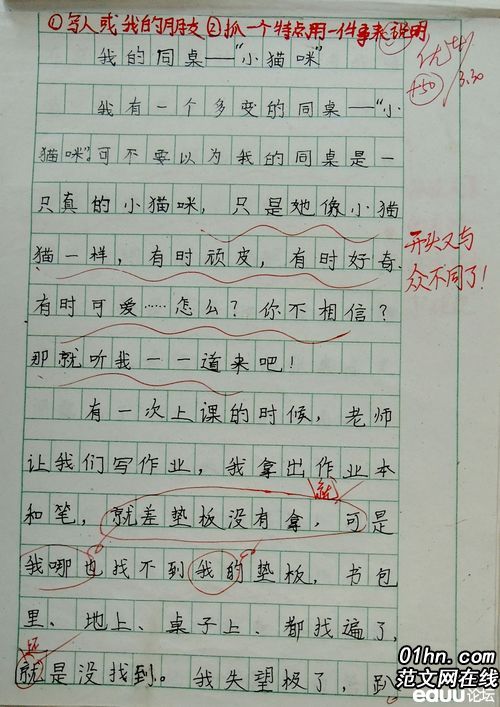 我的同班同学二年级作文600字