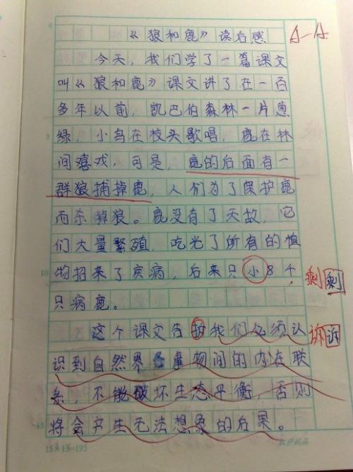 读完故事后400字