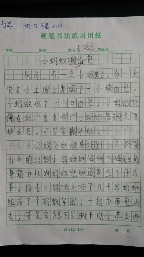 小学作文蚂蚁