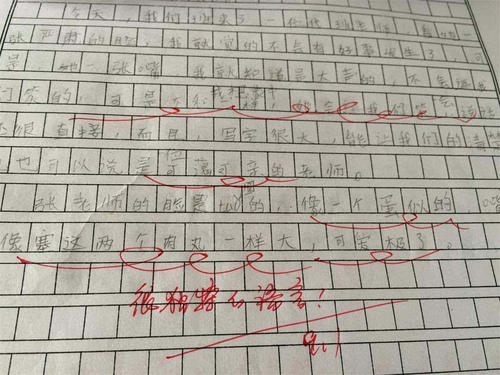 我的中文老师400字