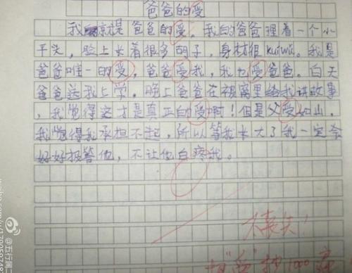 写800字的老师作文