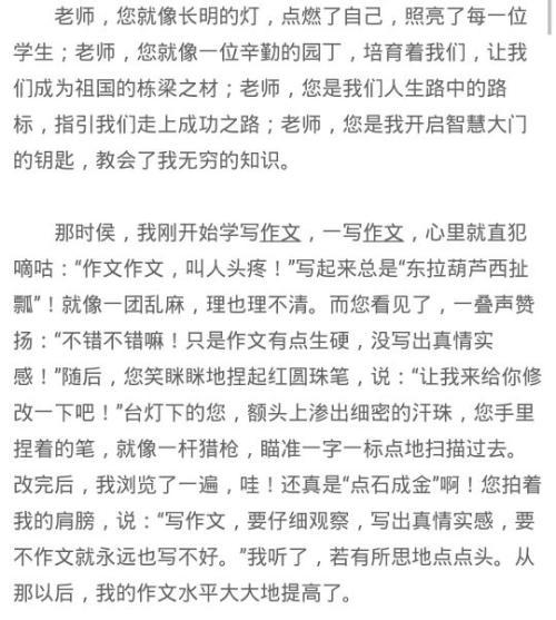 我的中文老师作文500字