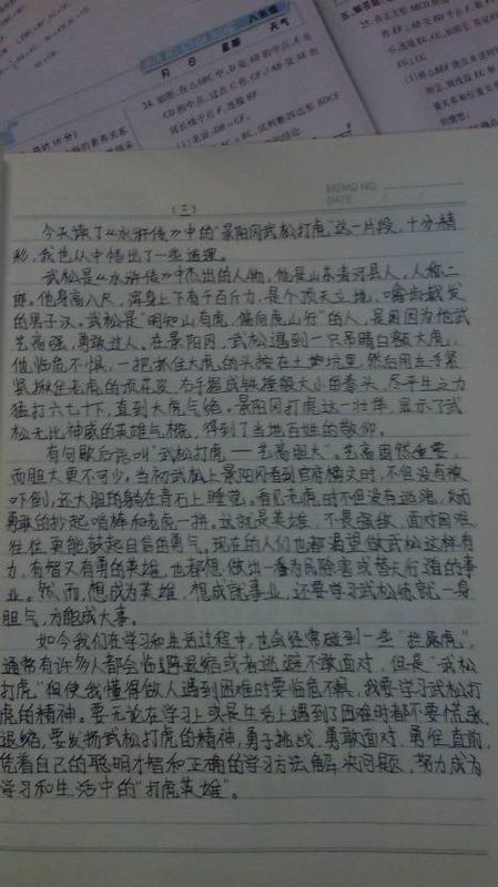 阅读《水Mar传》后的100个单词