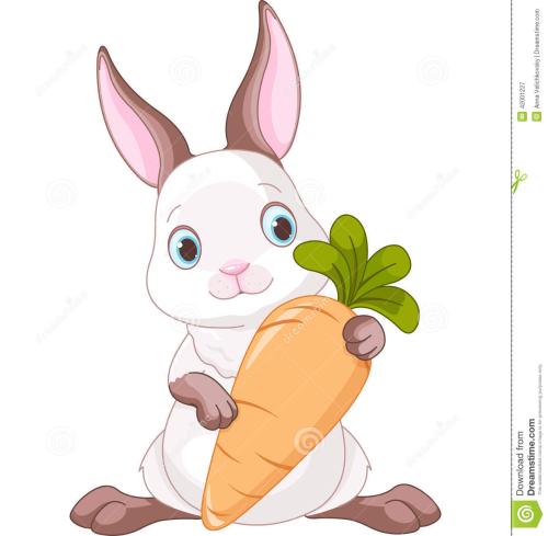 读完《兔子的胡萝卜》后的感想