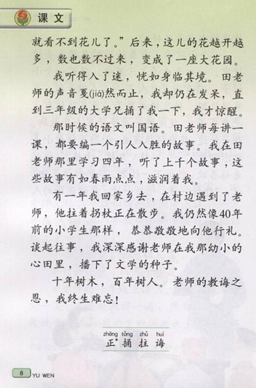 六年级老师难忘的作文