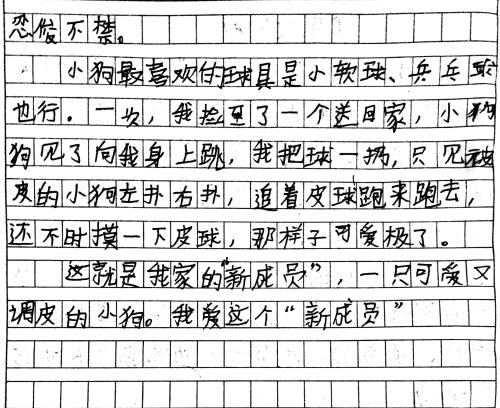 我喜欢小狗三年级作文