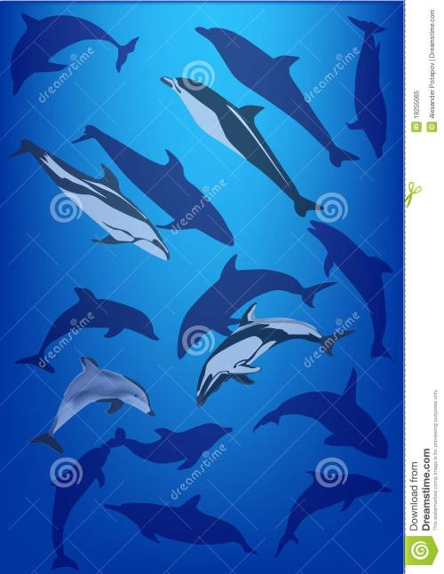 蓝海豚岛