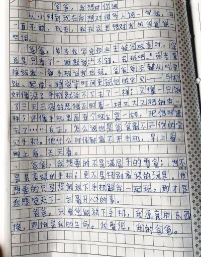 我父亲的作文350字