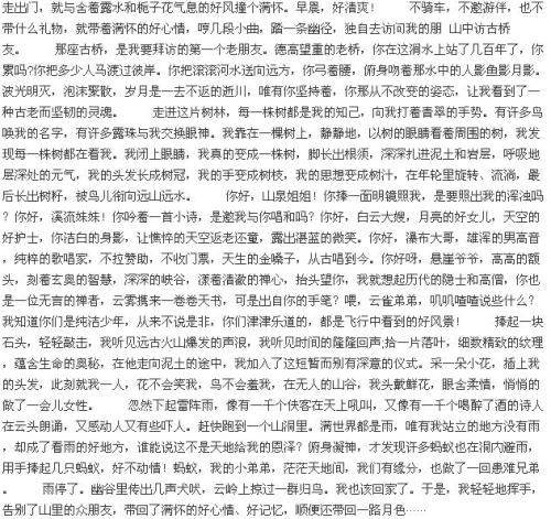 看完一篇漂亮的文章之后