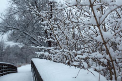 冬季积雪