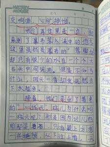 2018浙江台州高中入学考试全场作文：我在成长