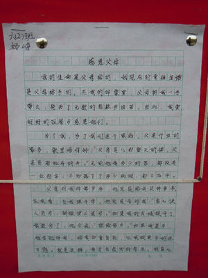 800个字符