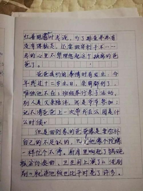 600字组成