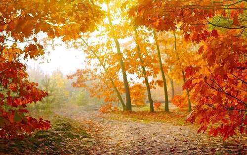 一句话描述秋天是美丽的，收获季节2