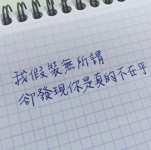 有人在意的诗