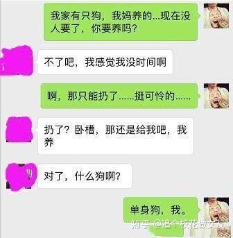 爱情套路问答