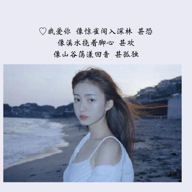 关于校园的句子