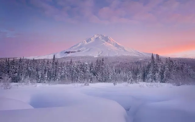 第一场雪的审美语录