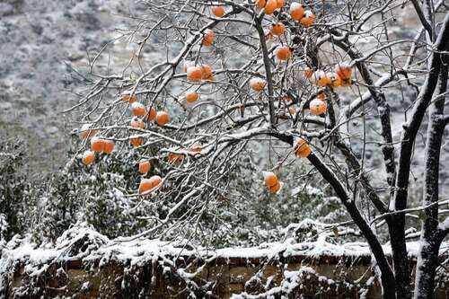 句子描述无边的雪1