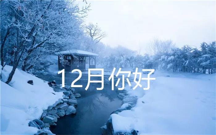 12月你好美丽句子1