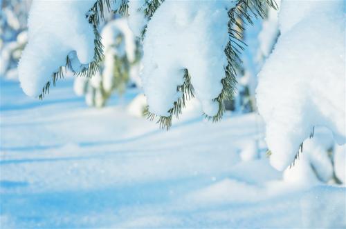 15.雪，白色雪花从天空中漂浮，就像一只美丽的银色蝴蝶一样。雪，较大，雪花，雪，像烟，雾，好像整个世界都在雪地里笼罩着。