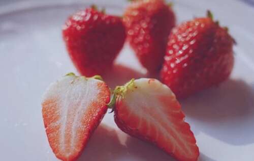 16，采摘草莓吃草莓，没有草莓的状态？