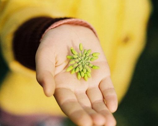 客户迎接短信前的春节1