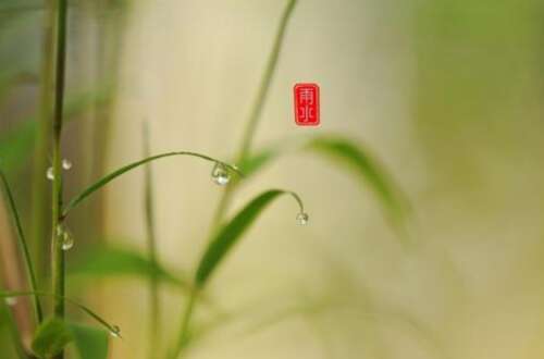 24，我希望雨送健康方面，你感冒了，健康是根据衣服的温度关闭的，康马让冷攻击，平坦的新鲜蔬菜保护肝脏和脾脏，然后出去练习，吉斗醉水袁，翔这些情绪不生气，如幸福，不寻求医生，卫生机构属于你。