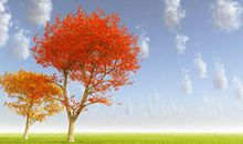 天气降温变冷问候短信