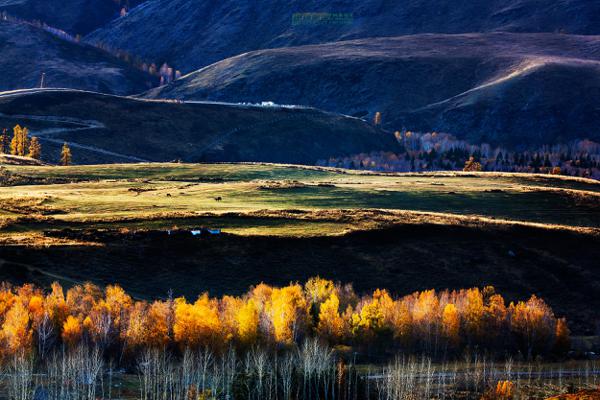 你每天都在我的思绪中