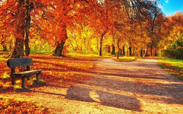 互助是我们的徒步旅行方式