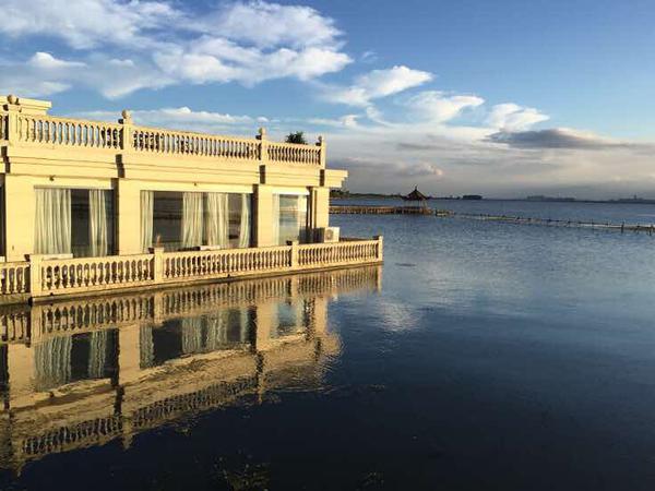 我看不出我是否是朋友