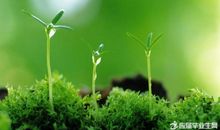 女生个性签名安静