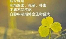 一句话传播正能量