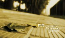 关于大学的名言