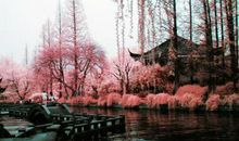 描写美景的诗